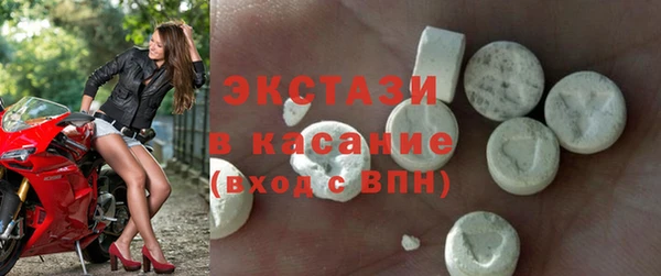 индика Кулебаки