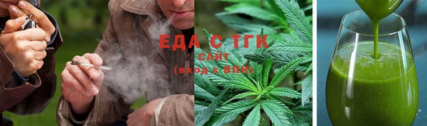 индика Кулебаки