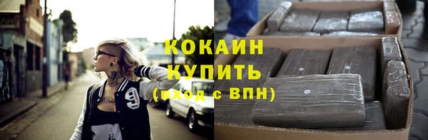 индика Кулебаки