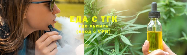 индика Кулебаки