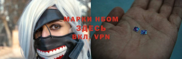 индика Кулебаки