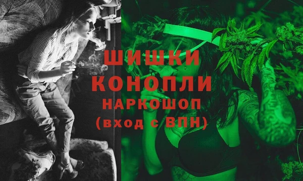 индика Кулебаки