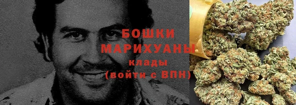 индика Кулебаки