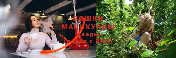 индика Кулебаки