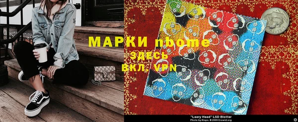 индика Кулебаки