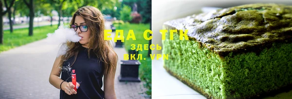 индика Кулебаки