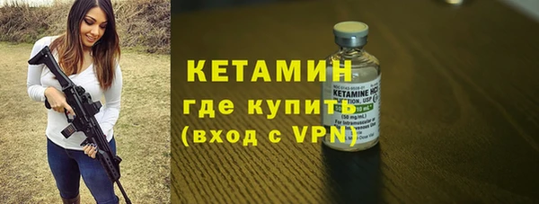 индика Кулебаки