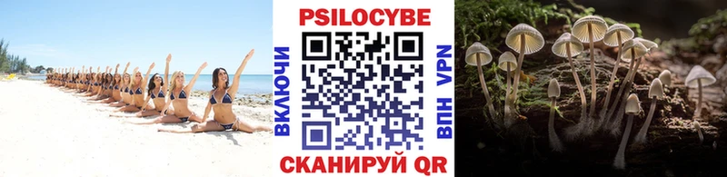 Псилоцибиновые грибы GOLDEN TEACHER  Оленегорск 